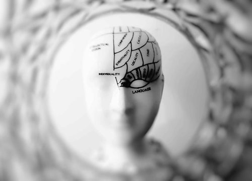 Santé du cerveau et fonctions cognitives