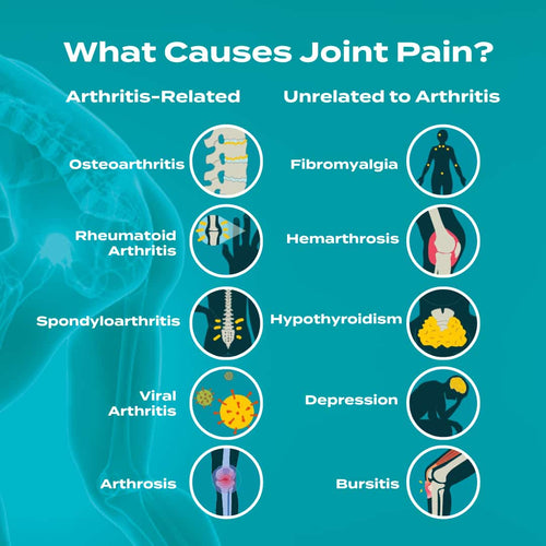 whatt causes joint pain