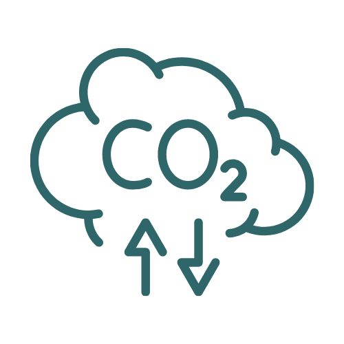 offsetting our CO2