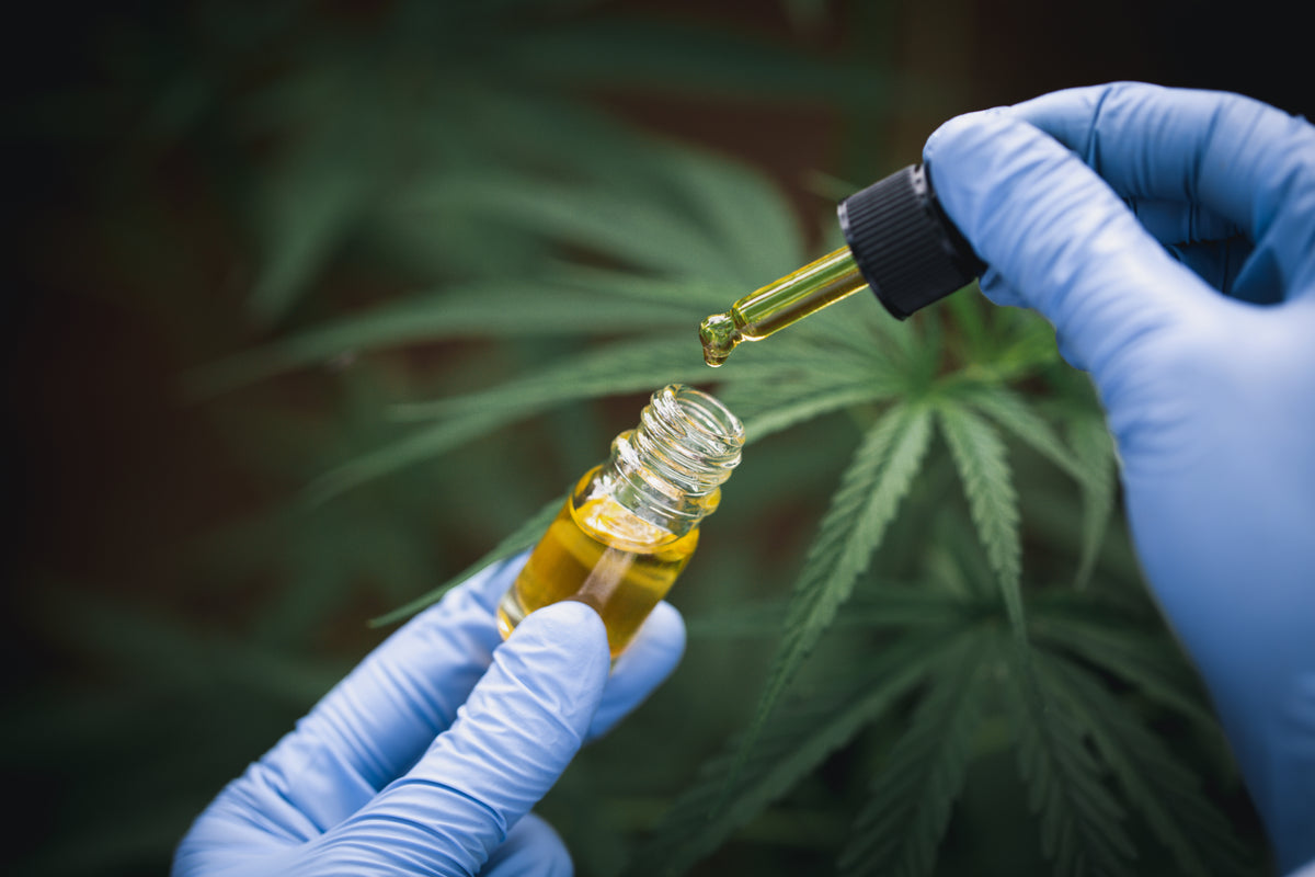 does cbd oil get you high?