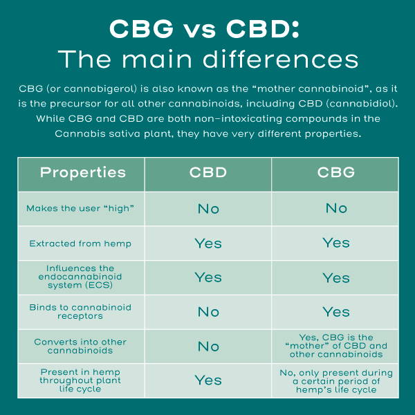 CBG vs CBD infographic Naturecan NL