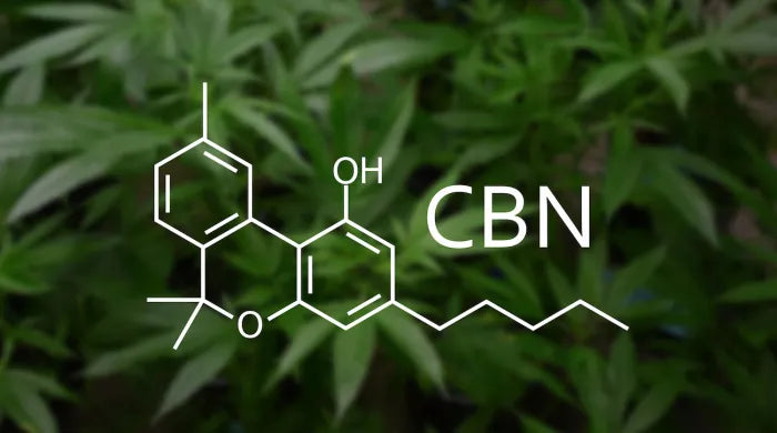 What is CBN? Naturecan