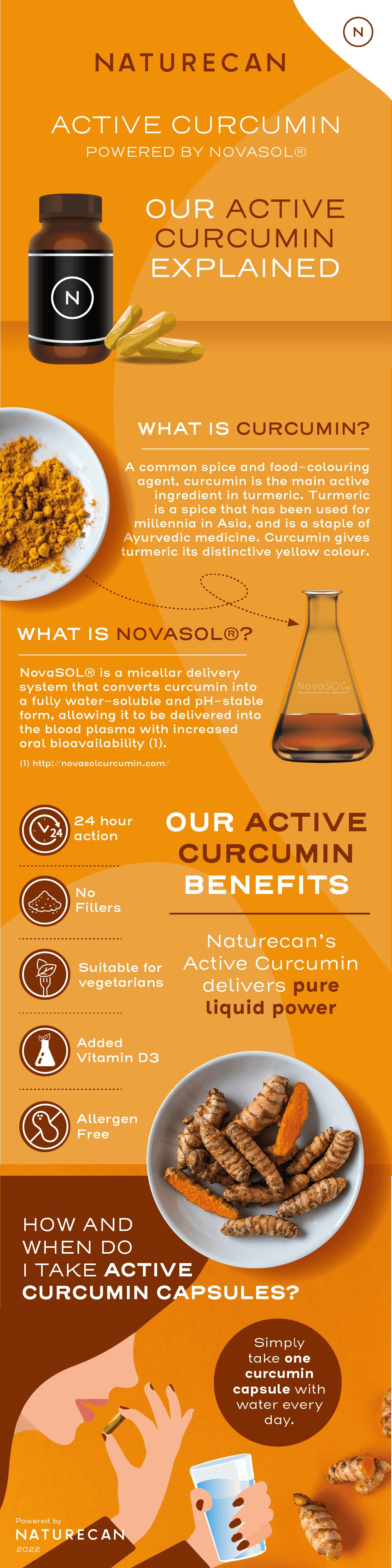 Active curcumin explained infographic