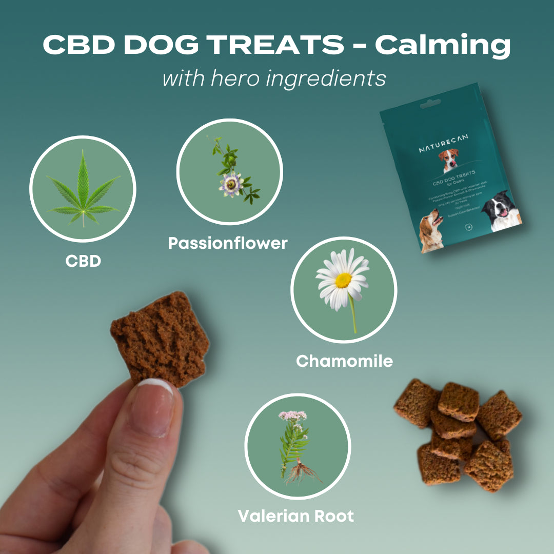 CBD Snoepjes voor honden met angst