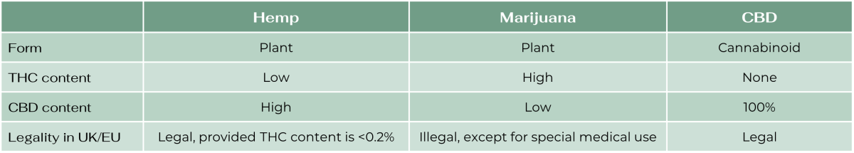 Hemp vs Marijuana vs cbd