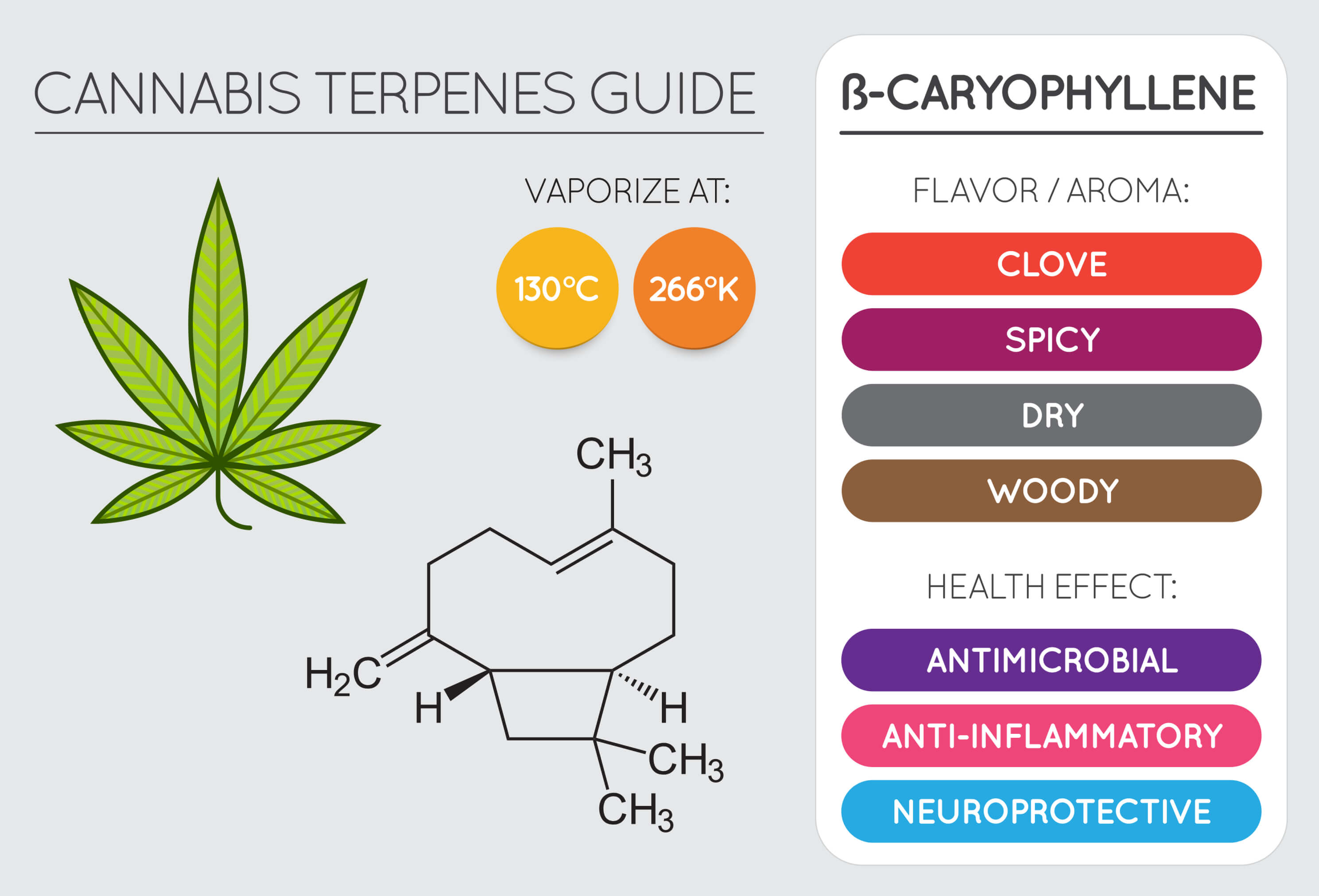 Guide til cannabis terpener - B-caryophyllene