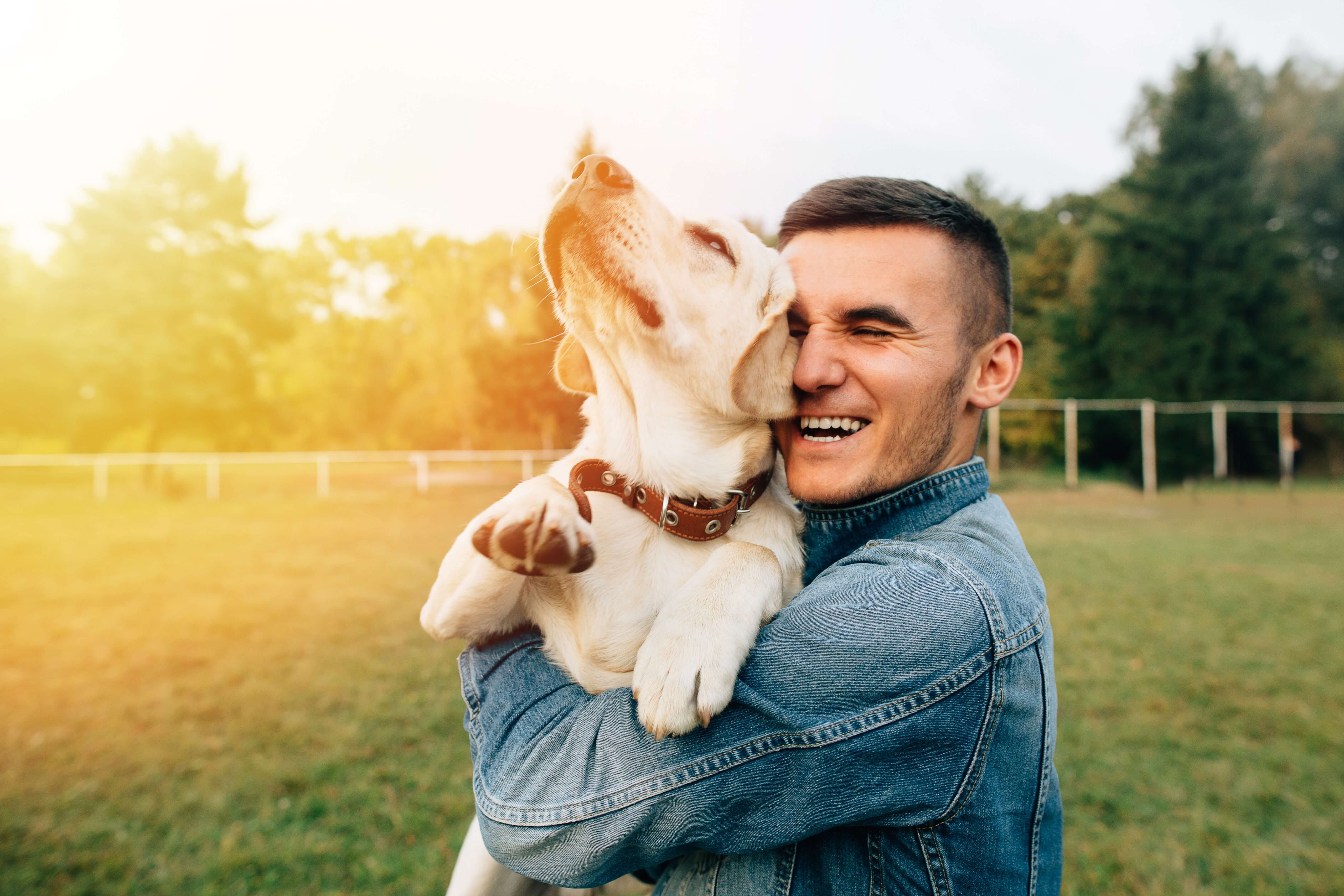 Dog loving. Хозяин собаки. Собака и человек. Счастливые животные с хозяевами. Счастливая собака с хозяином.