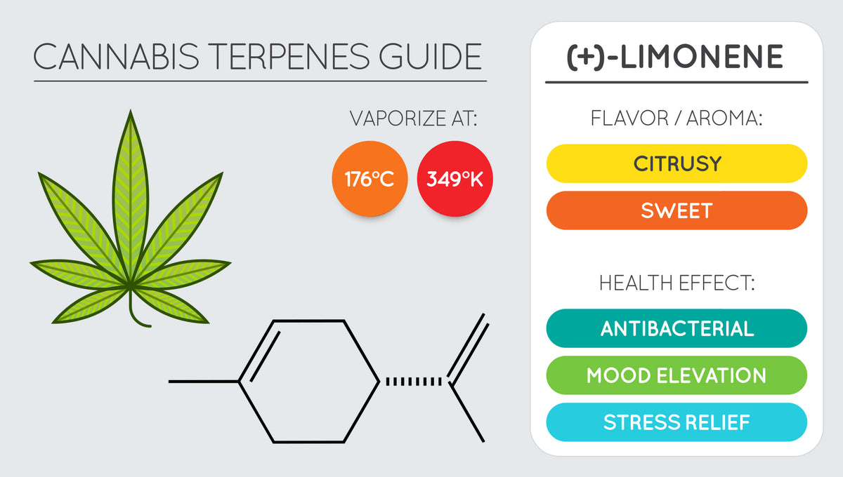 terpenen betekenis | Naturecan NL