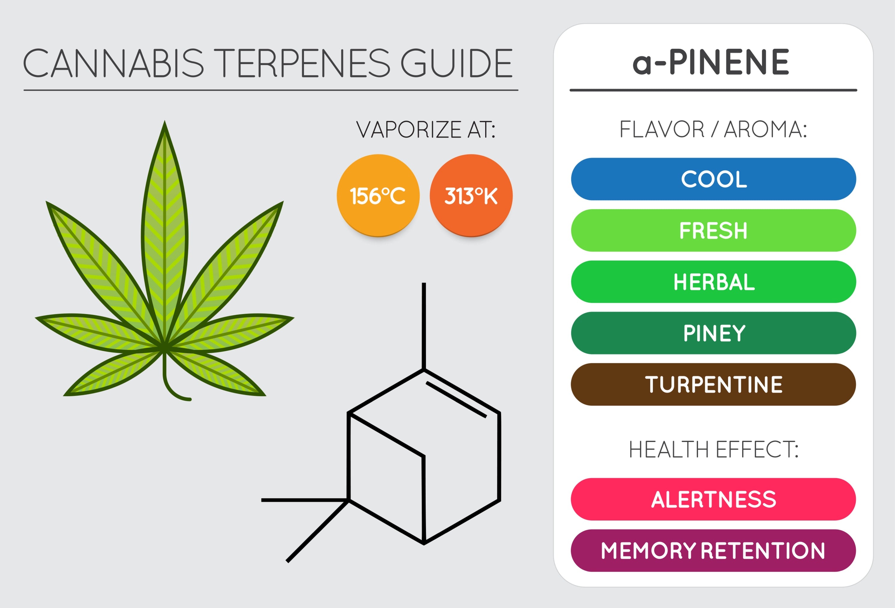 Guide til cannabis terpener - a-Pinene