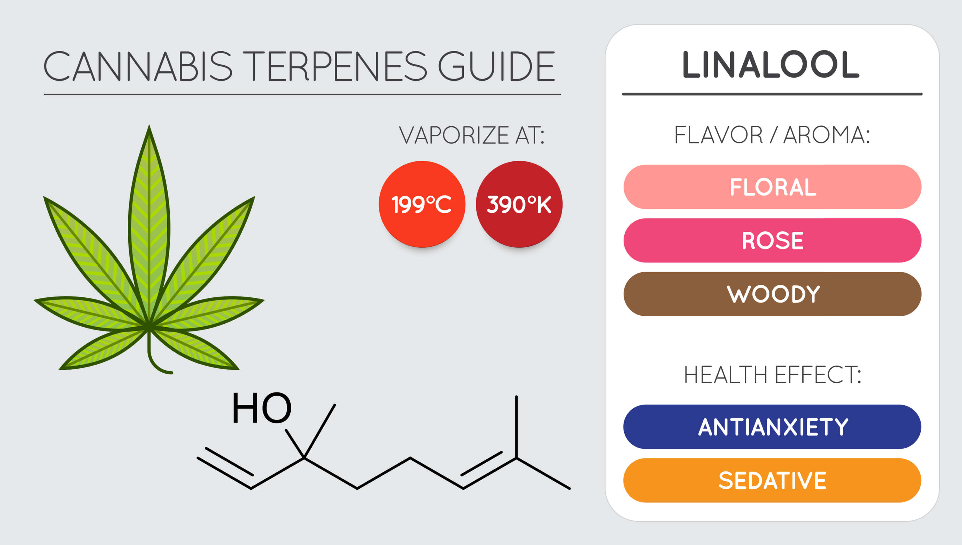 Guide til cannabis terpener - Linalool