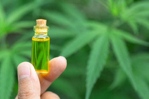 cbd oil benefits