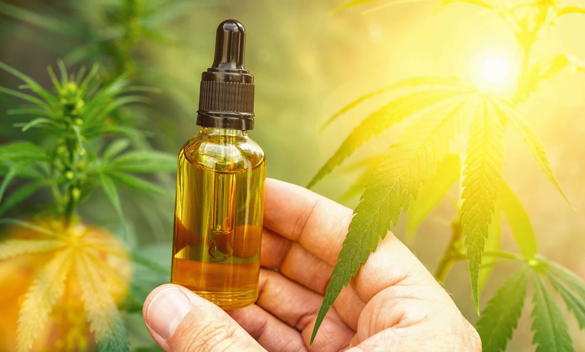 CBD Oil