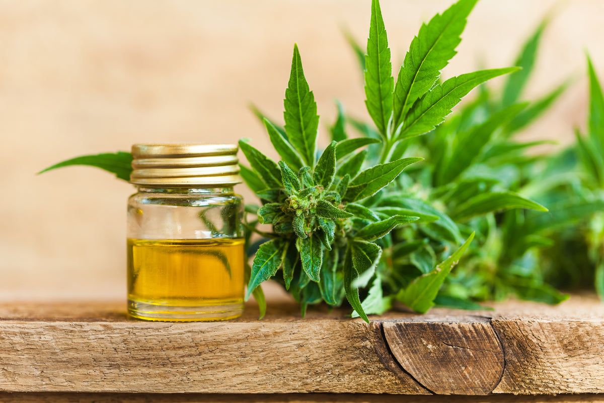 how is cbd oil made?