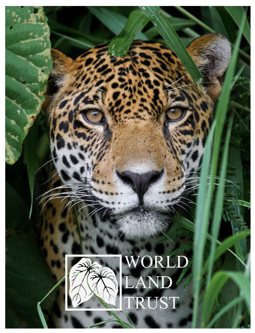 world land trust biodiversity