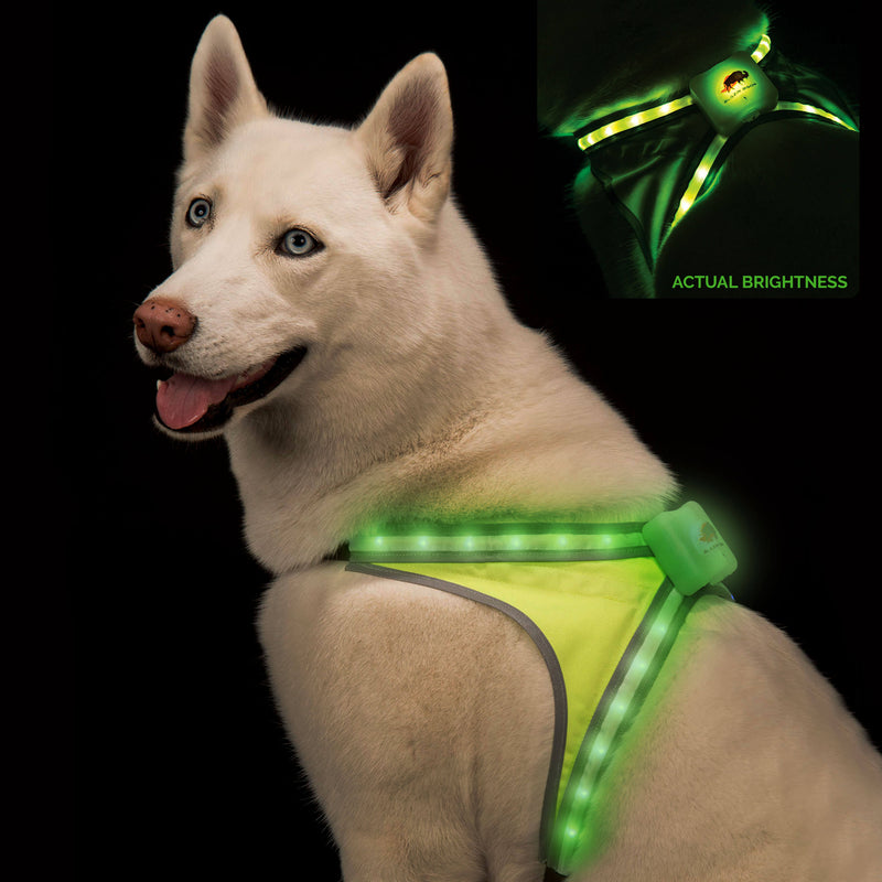 Zenuw mixer pastel LED Dog Harness