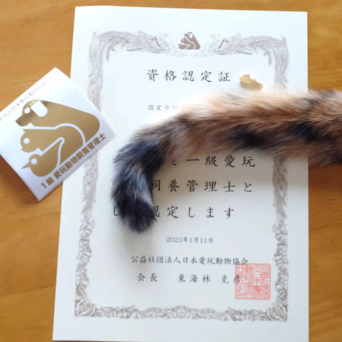 愛玩動物飼養管理士2級 2024テキスト - メルカリ