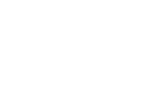 Misty Mountain Tea