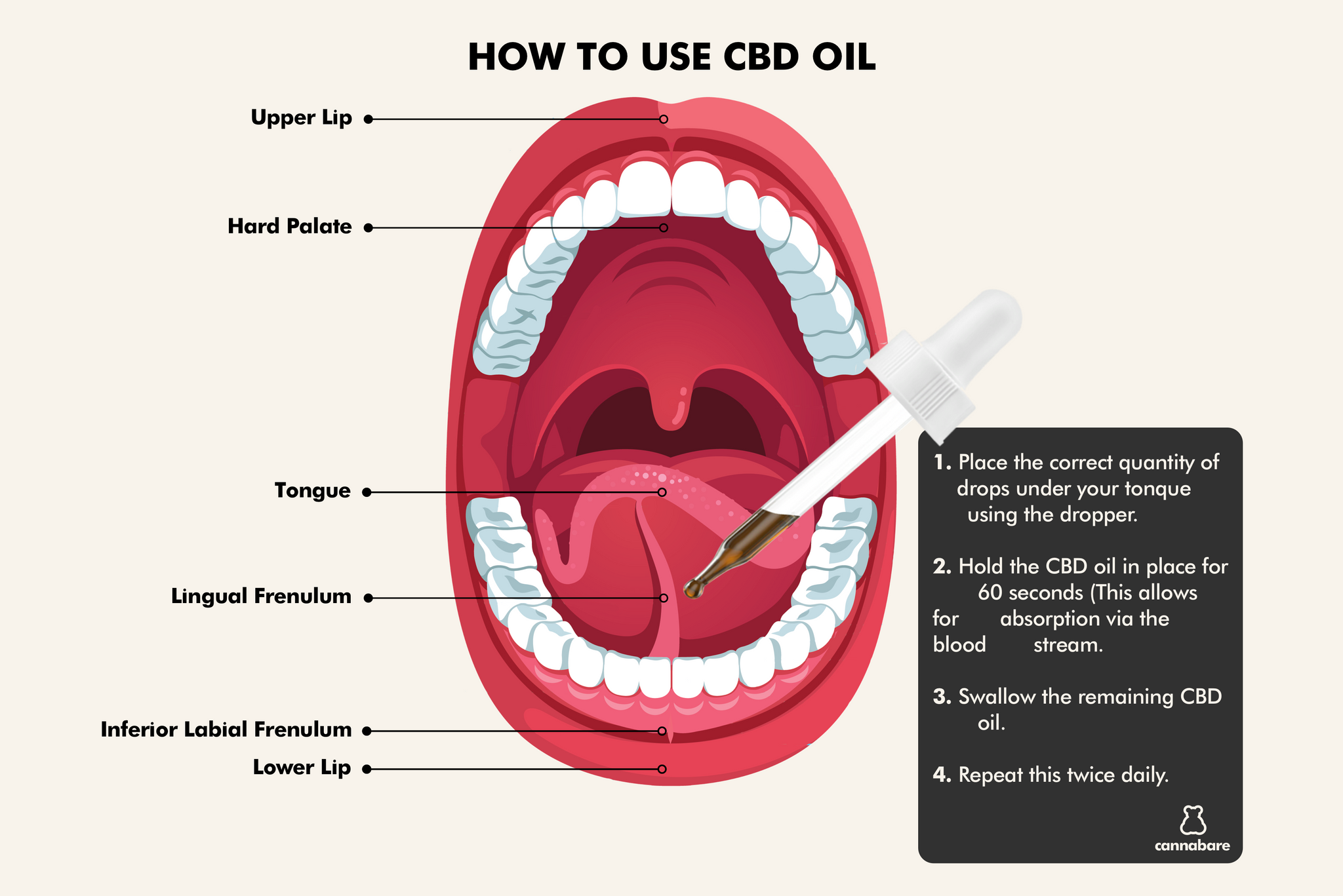 HOW TO USE CBD OIL