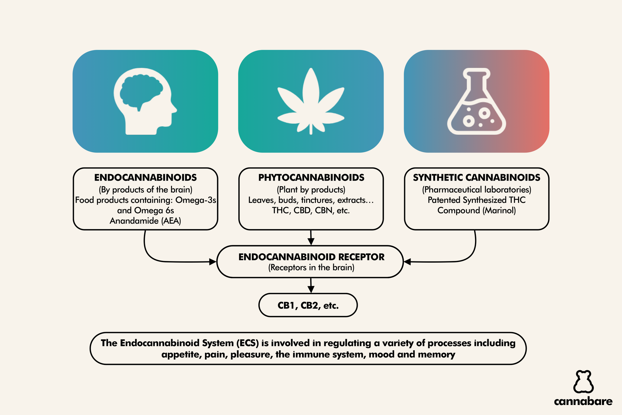 Phytocannabinoids