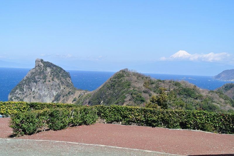 【静岡】雲見オートキャンプ場