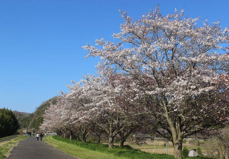 辰ノ口親水公園