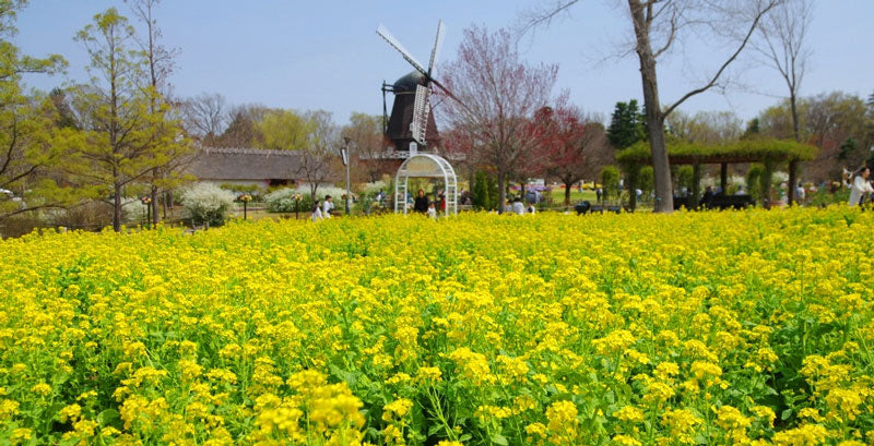 【千葉】ふなばしアンデルセン公園