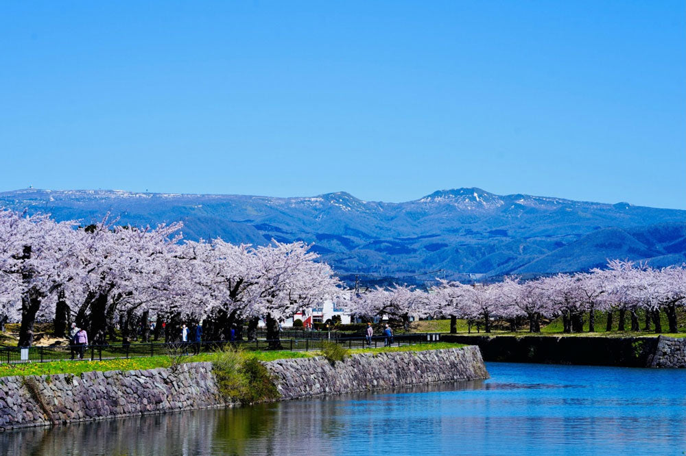 五稜郭公園