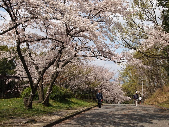 服部緑地公園