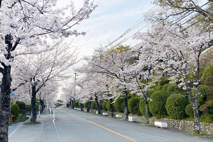 五月山公園