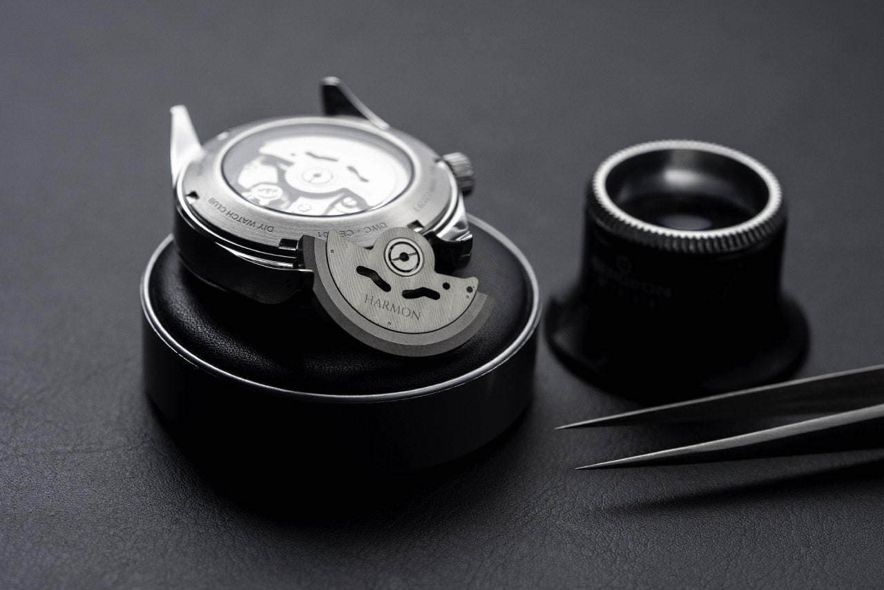 Custom Rotor for Seiko mod & DWC Seiko watches - Silver – DIYWATCH Club