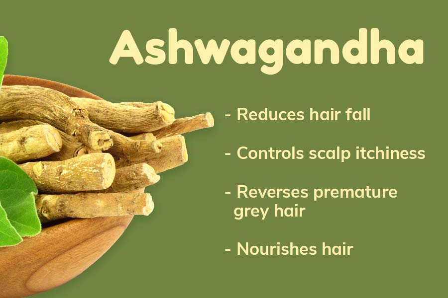 Ashwagandha for hair