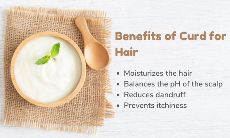 How to Use Egg for Hair Growth  INLIFE Healthcare