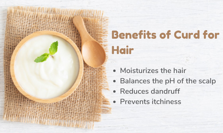 Try Curd and Egg Mask for Hair Growth and Thickness