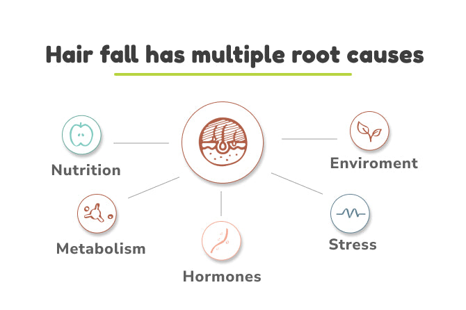 hair loss root causes