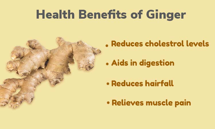 BENEFITS AND USES OF GINGER FOR HAIR  THEINDIANSPOT  Hair care Diy hair  care Natural hair tips