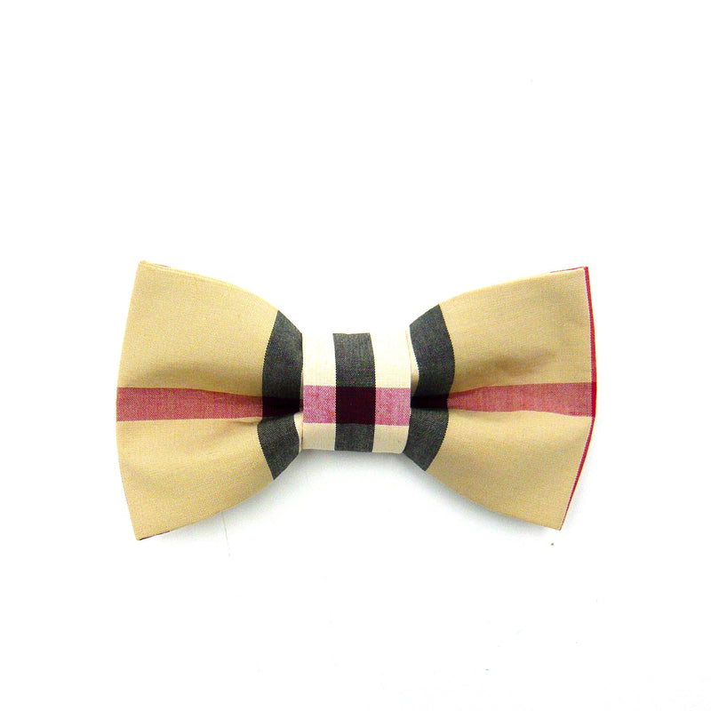 burberry dog bow tie