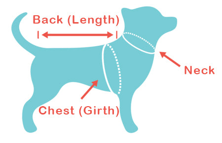 clothing sizes large size dog breed