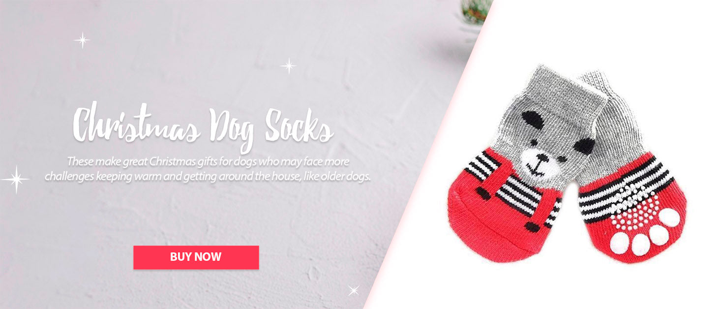 buy christmas dog socks