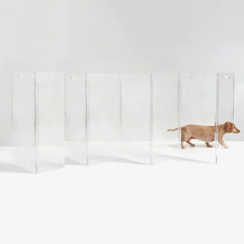 transparent, free standing dog gate