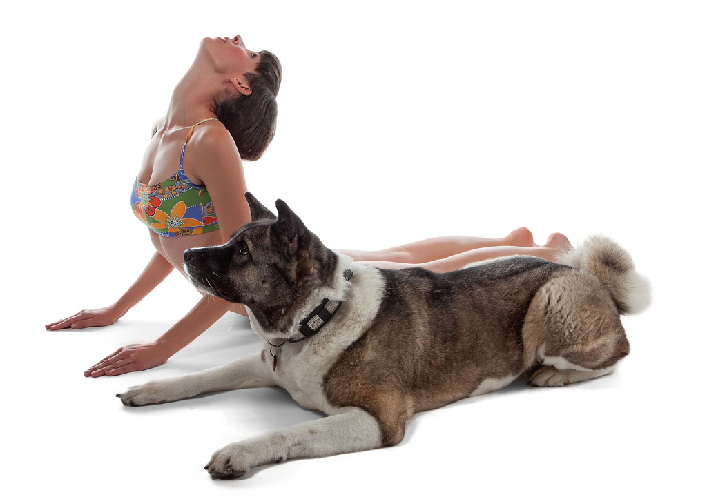 Yoga with pup is a great exercise for flexibility and peace of mind.