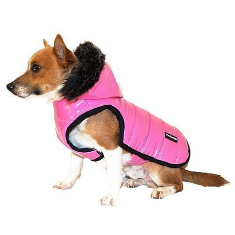 Designer Pet Accessories, Designer Dog Coats