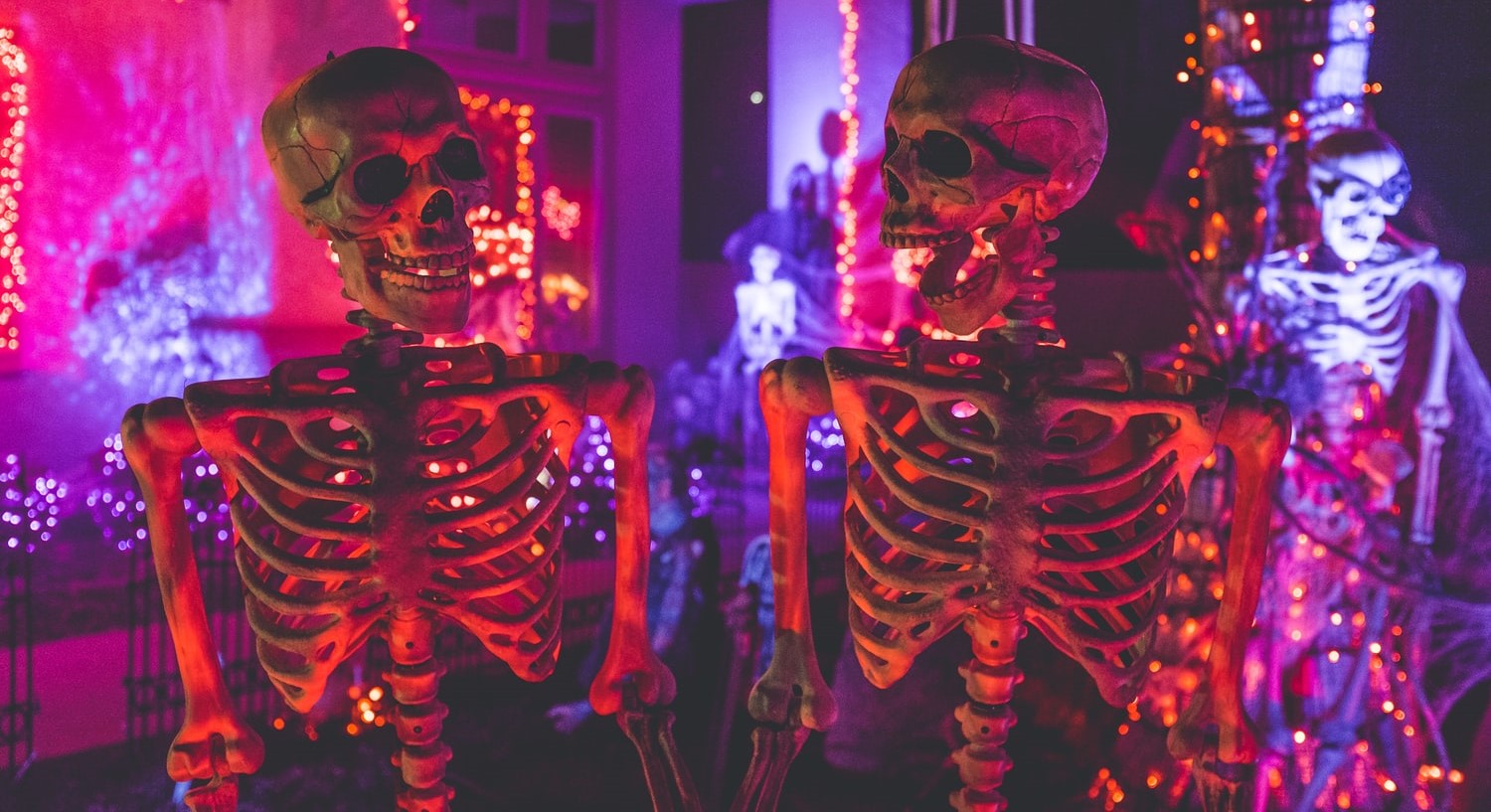 Two Skeletons