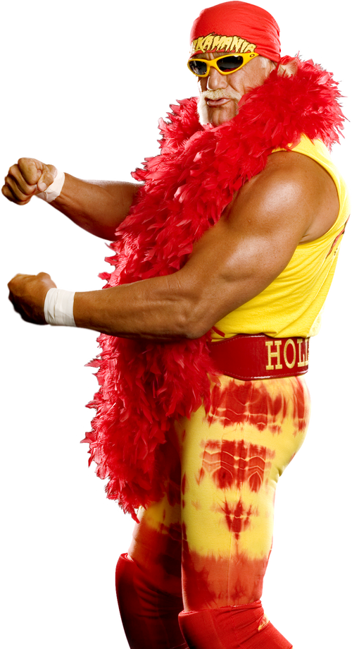 Men's Hulk Hogan Hulkamania Wrestler Costume