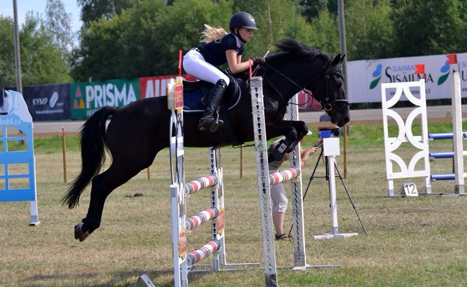 Tête d'un jeune cheval de dressage avec cavalier inconnu en action image  libre de droit par accept001 © #109731554