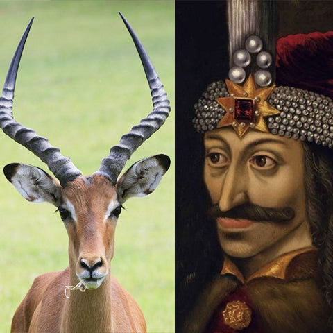 vlad the impala