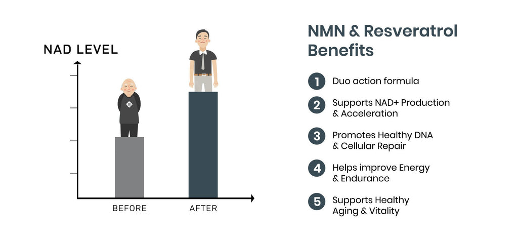 NMN+Complex - best longevity supplement