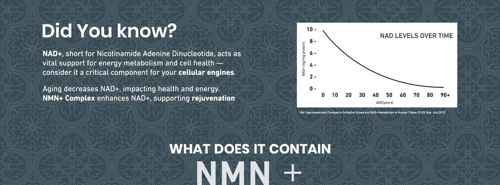 NMN+Complex - best longevity supplement