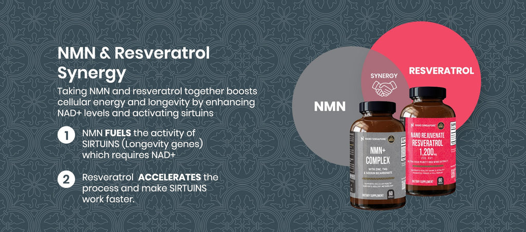 NMN+Complex - best longevity supplement