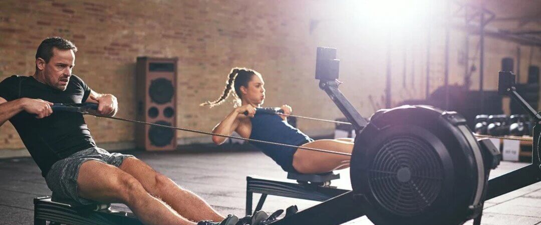 What muscles do rowing machines work?