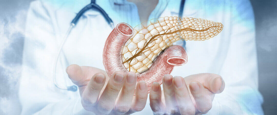 can you live without a pancreas?